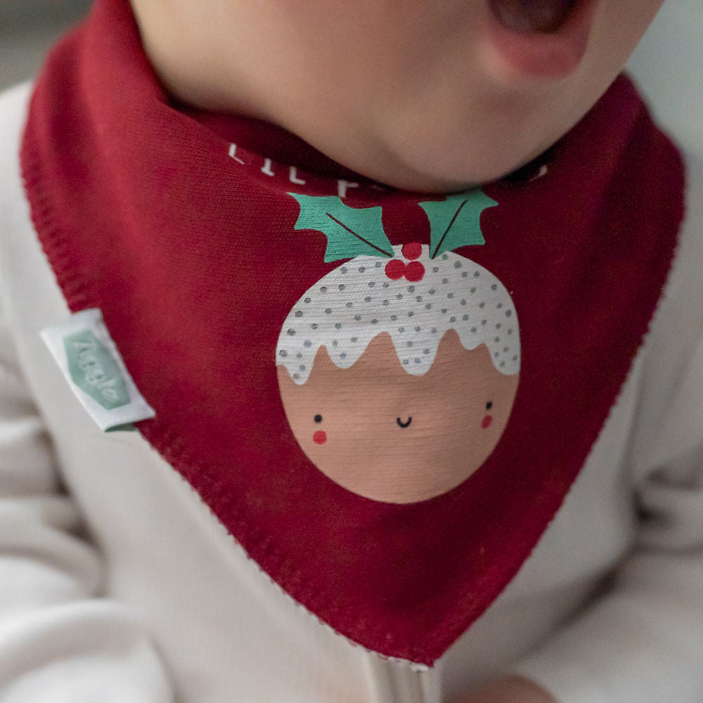 Pudding Christmas Bib (Copy) ziggle
