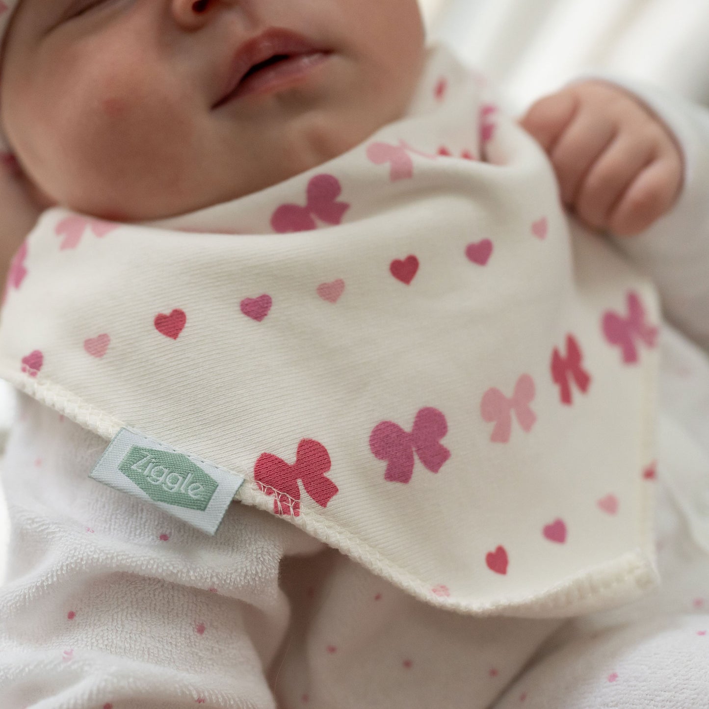 Hearts and Bows Bib