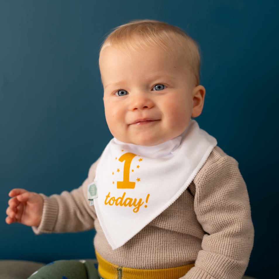 Baby First Birthday Dribble Bib — Ziggle