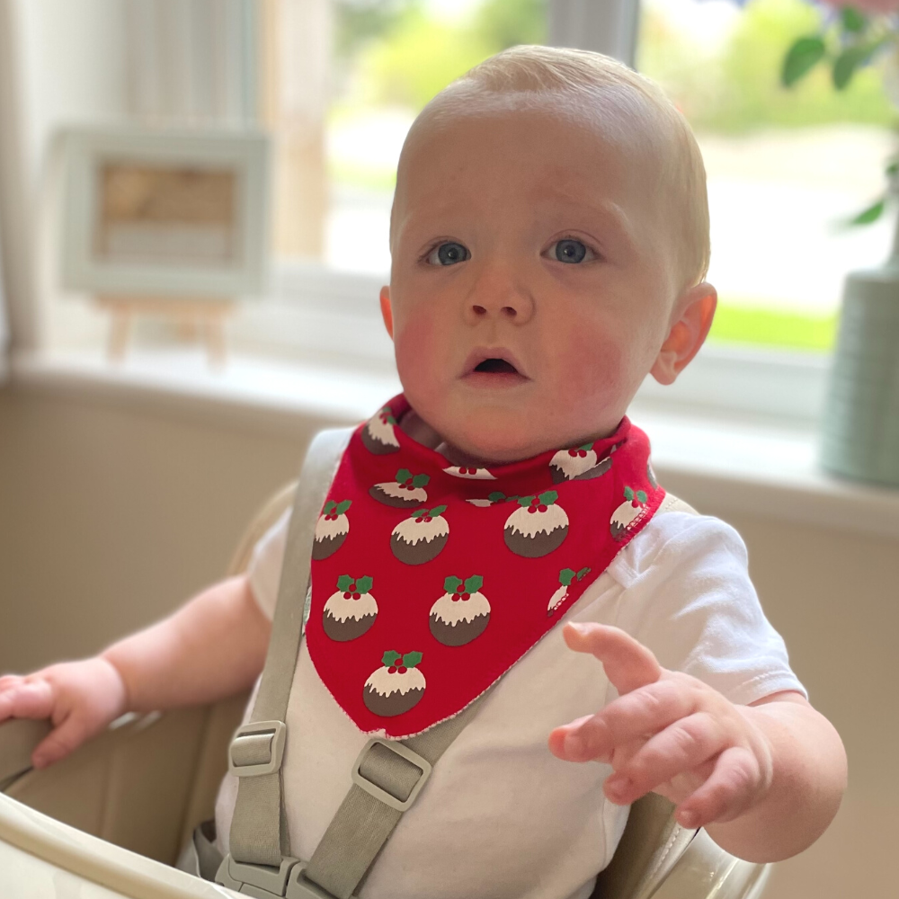 Red Christmas Pudding Print Bib