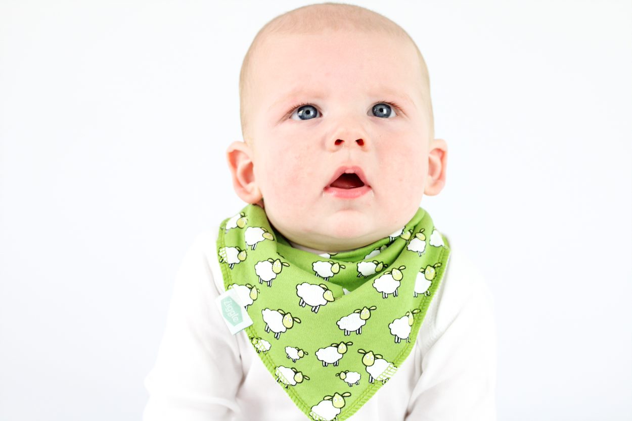 Farmyard Fun Bib Set
