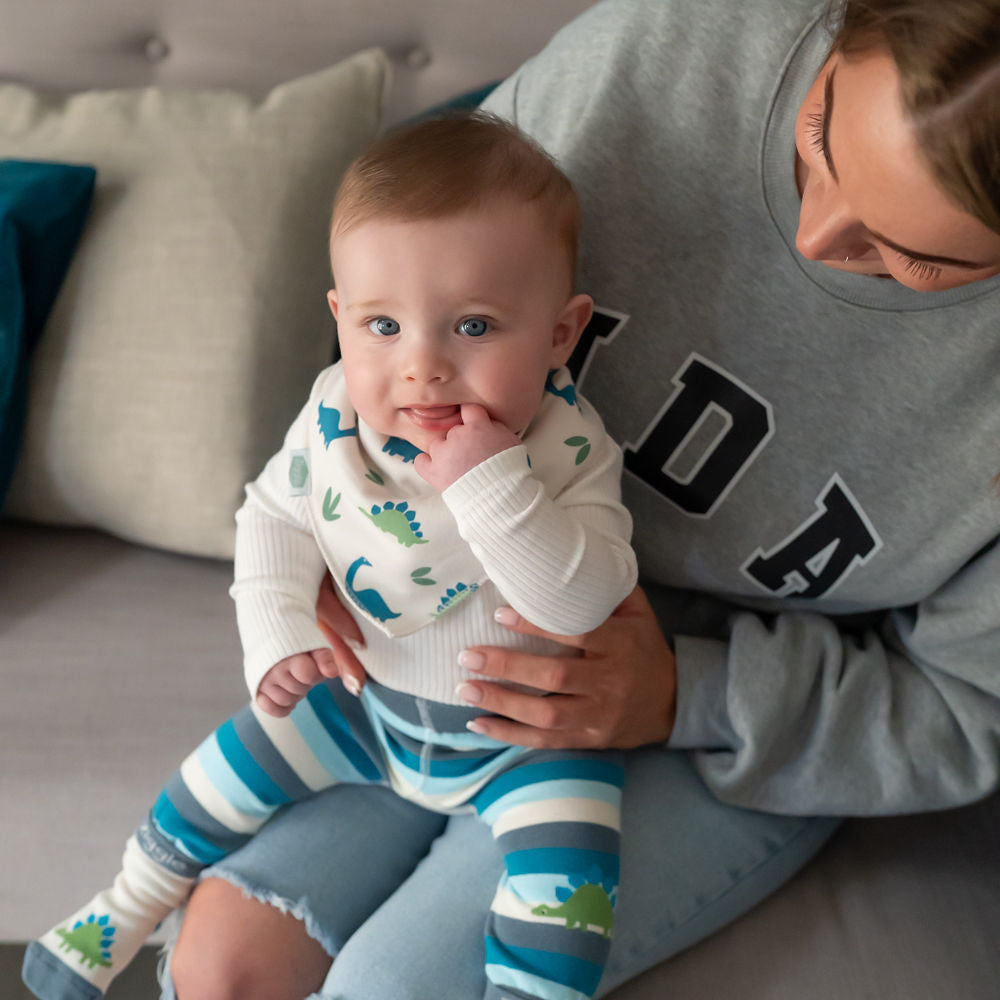 Dino Leggings and Socks Set