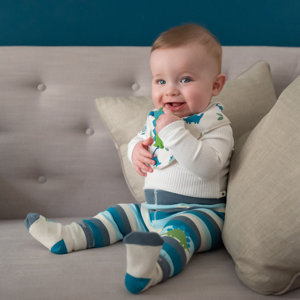 Dino Leggings and Socks Set