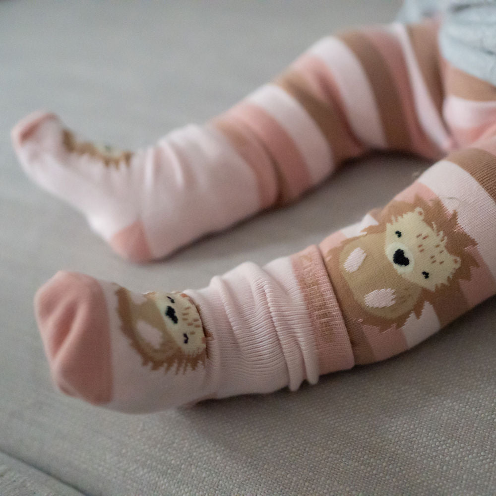 Hedgehog Leggings and Socks Set