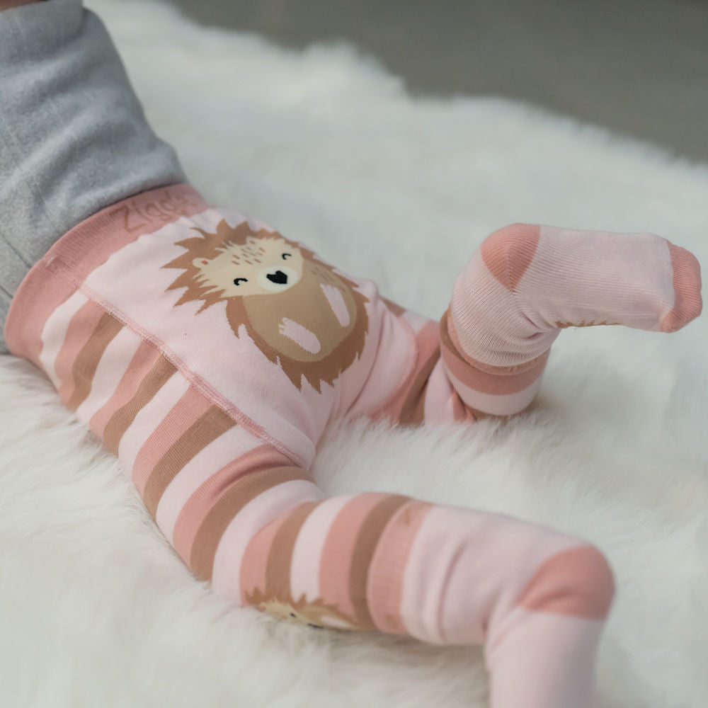 Hedgehog Leggings and Socks Set