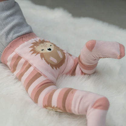 Hedgehog Leggings and Socks Set