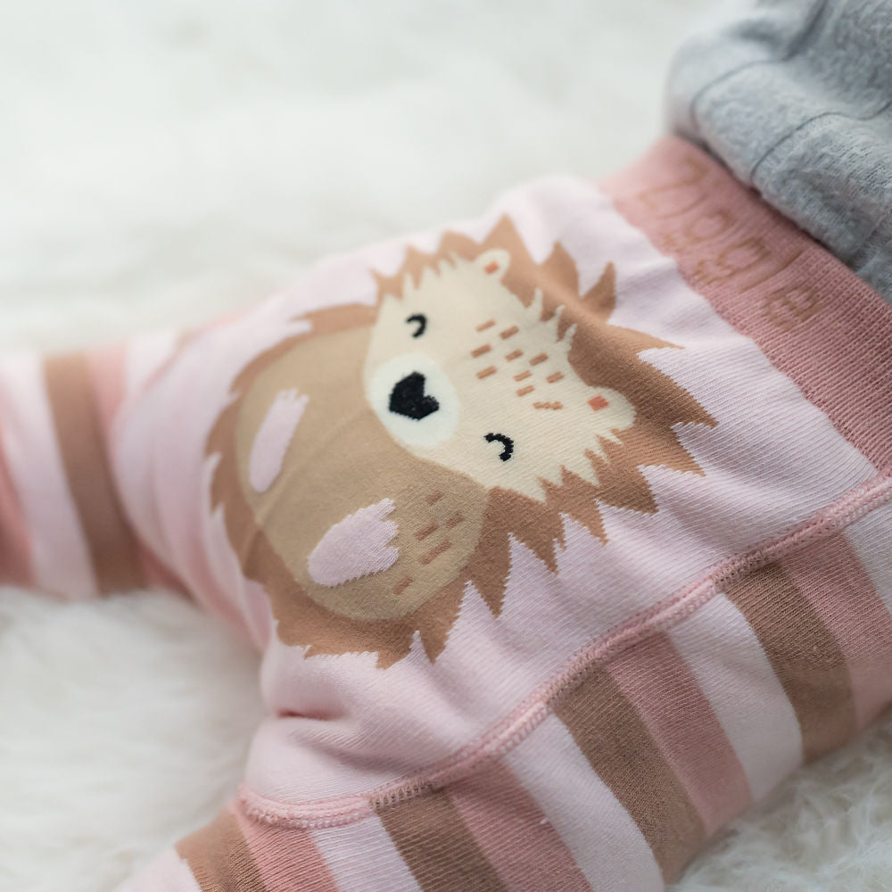 Hedgehog Leggings and Socks Set