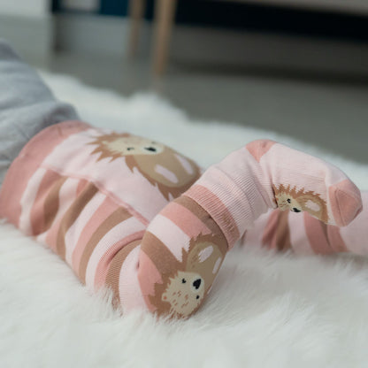 Hedgehog Leggings and Socks Set