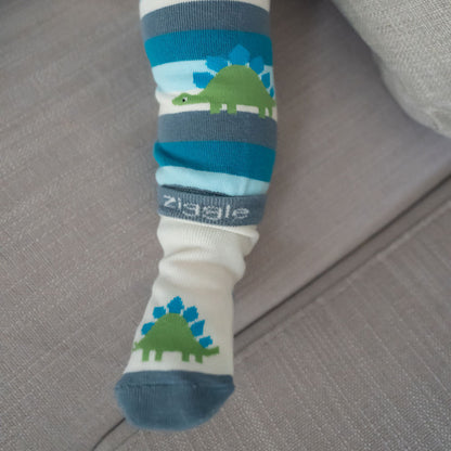 Dinosaur Boxed Sock Set