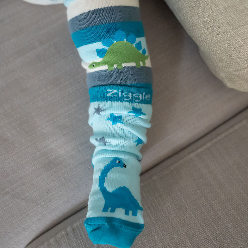 Dinosaur Boxed Sock Set
