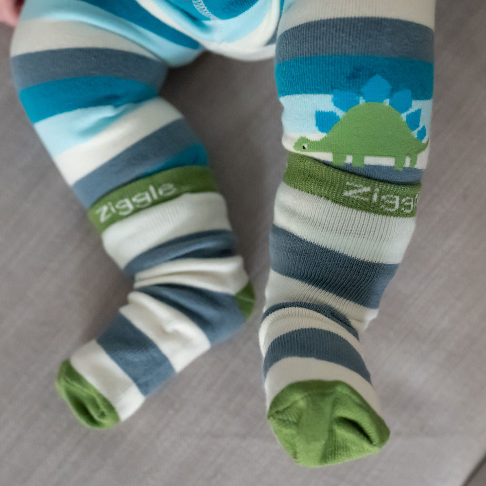 Dinosaur Boxed Sock Set
