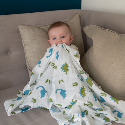 Dinosaurs Swaddle