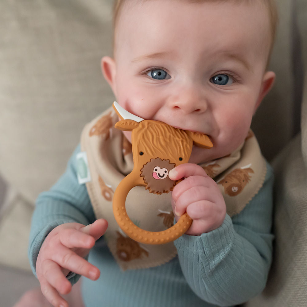 Highland Cow print bib