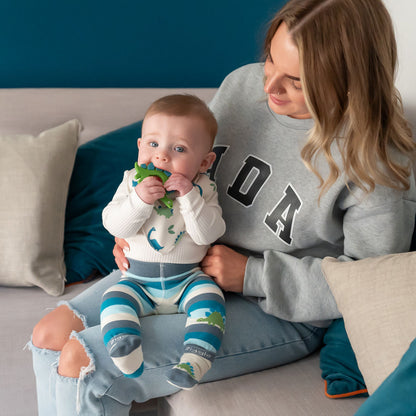 Dinosaur Teether Silicone