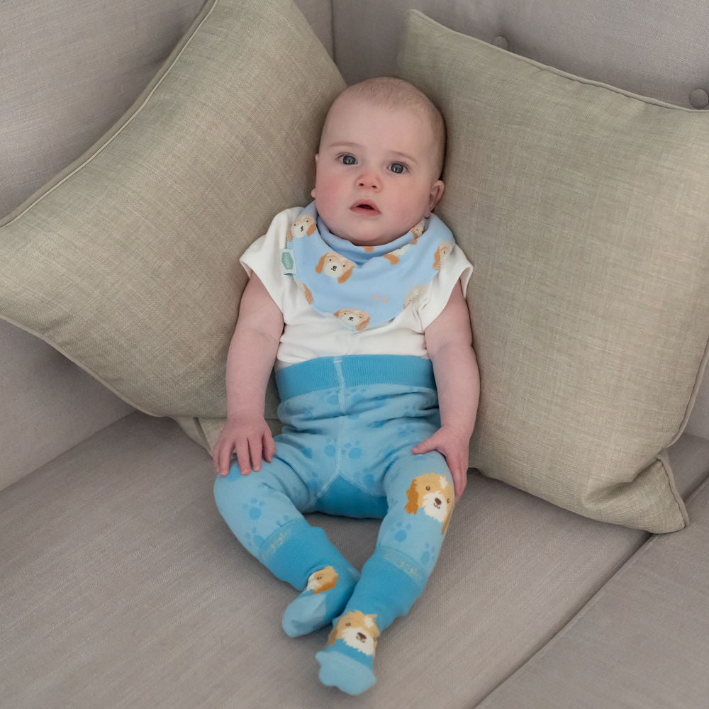 Cockapoo Leggings and Socks Set