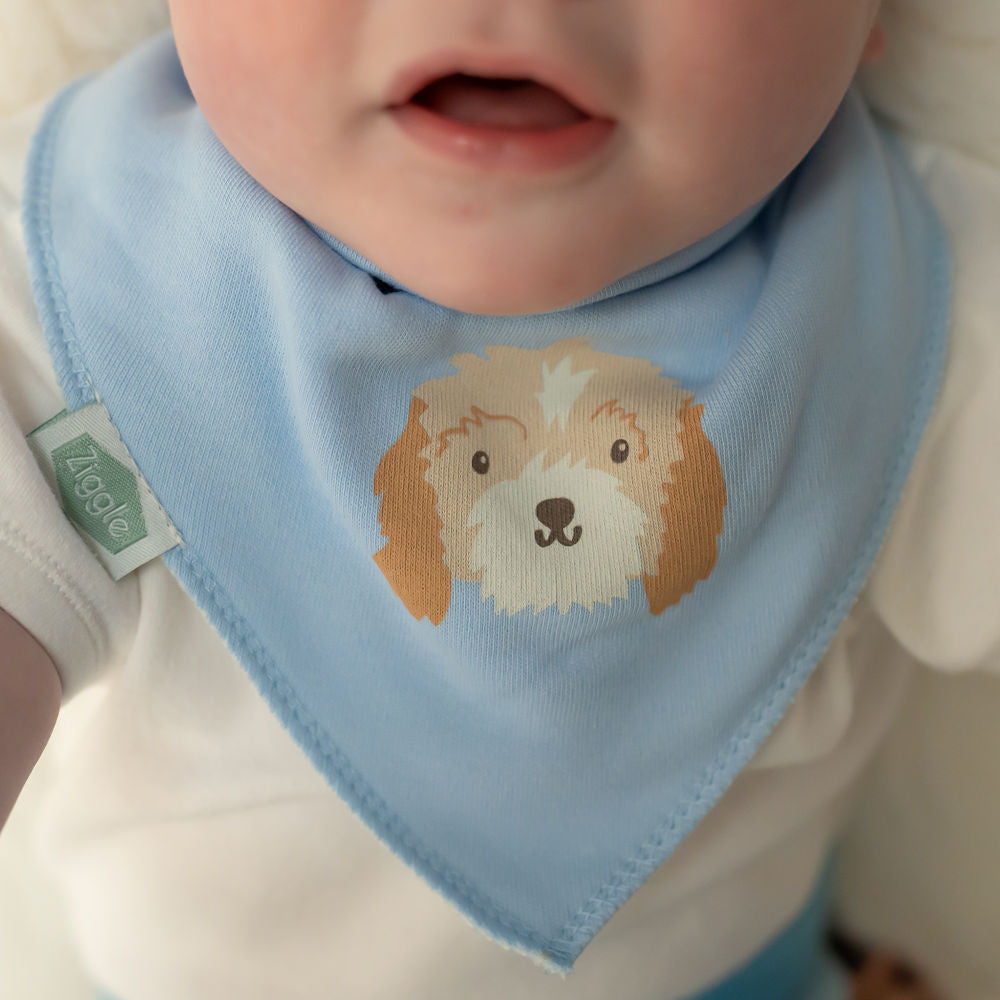 Cockapoo puppy bib