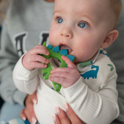 Dinosaur Teether Silicone