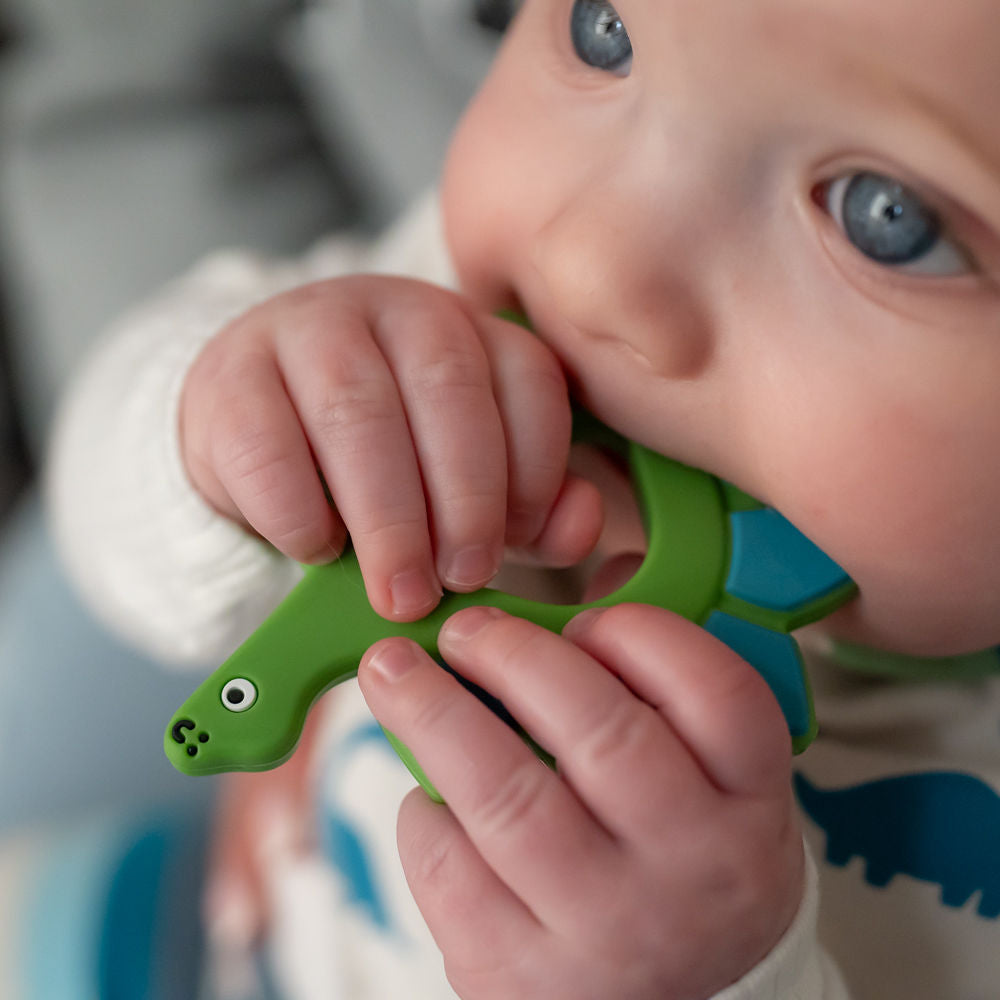 Dinosaur Teether Silicone