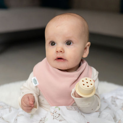 Neopolitan Pops bib set