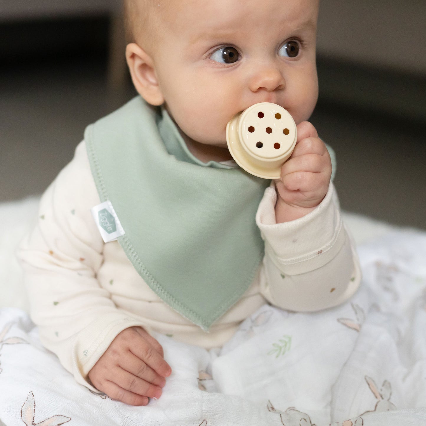 Neopolitan Pops bib set