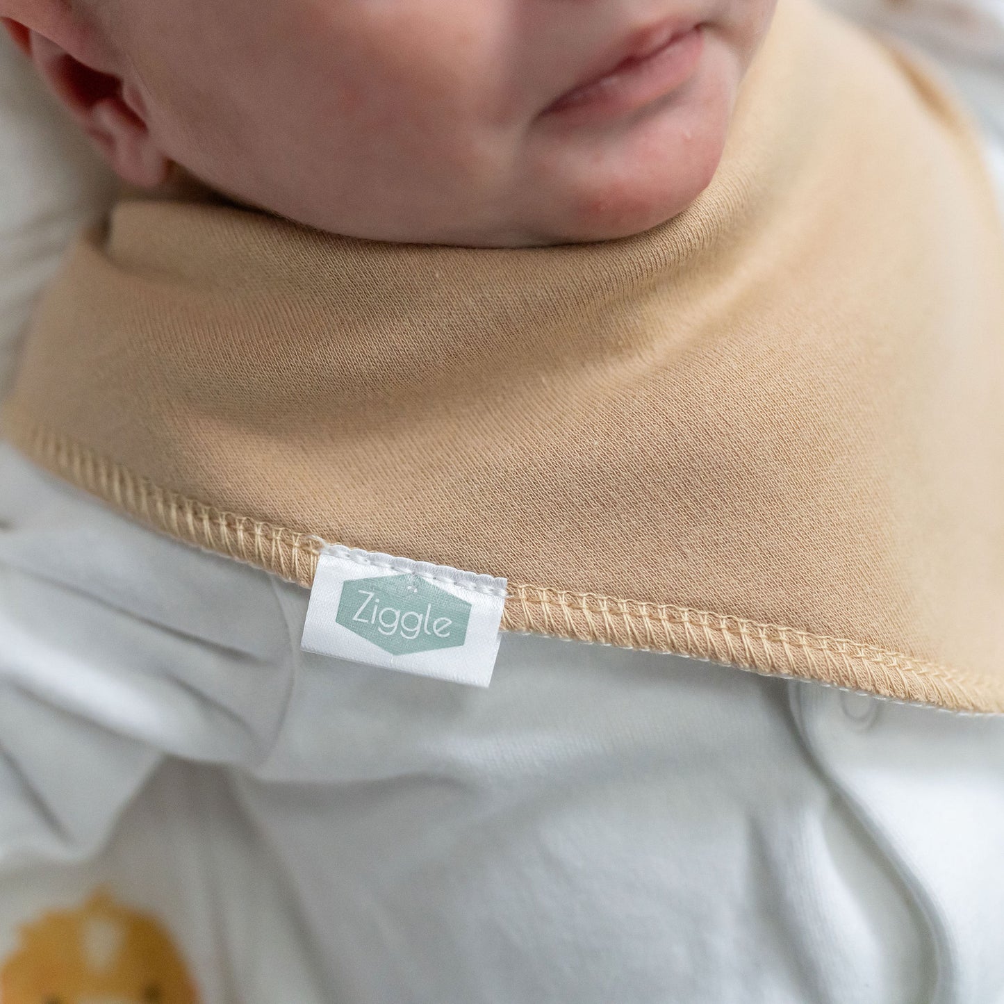 Sagewood Nest bib set