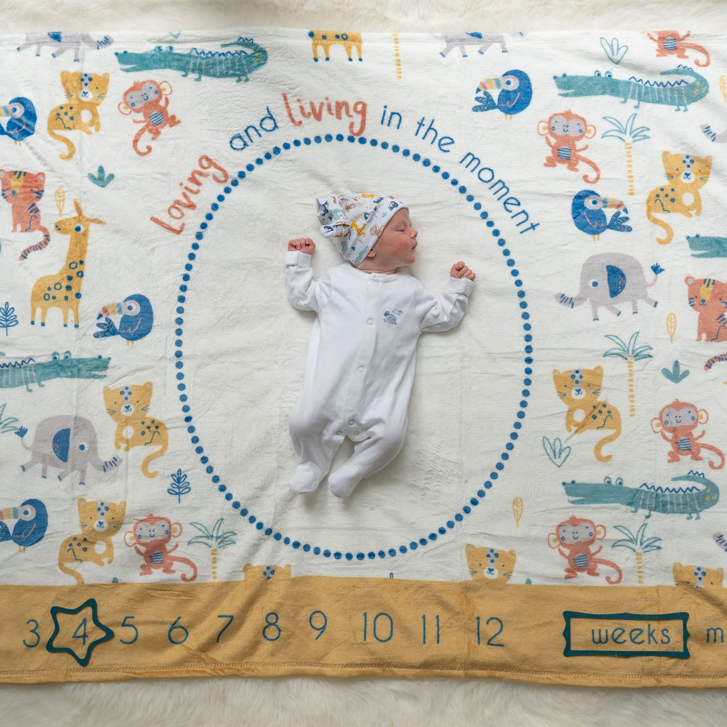 Baby's First Year "Milestones" Hamper