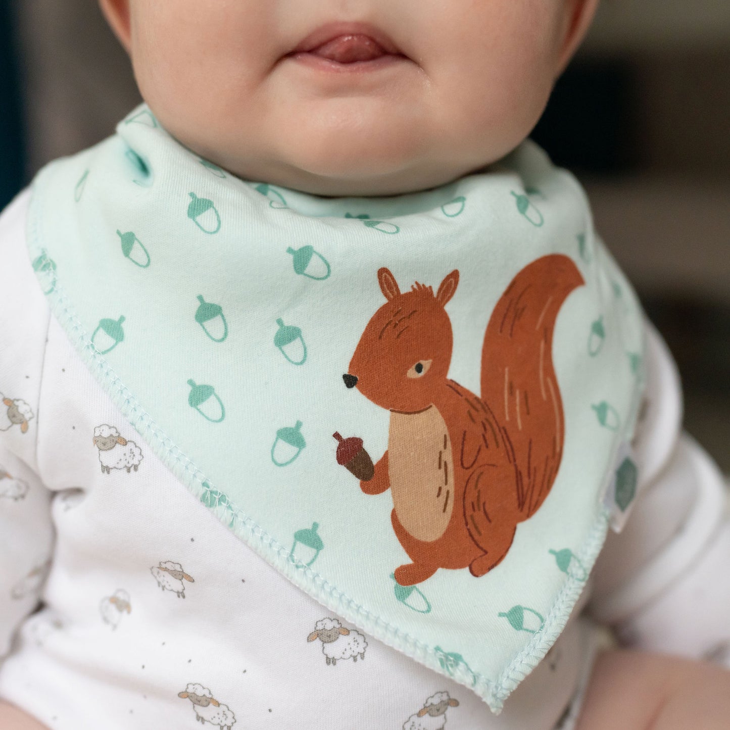 Woodland bib set