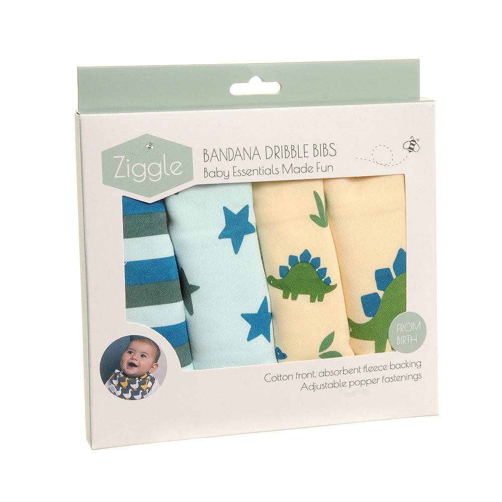 Dino and Stars Bib Set