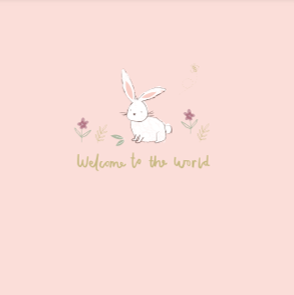 Bunnies New Baby Card