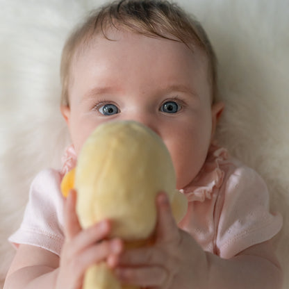 Duck Plush Comforter Blanket