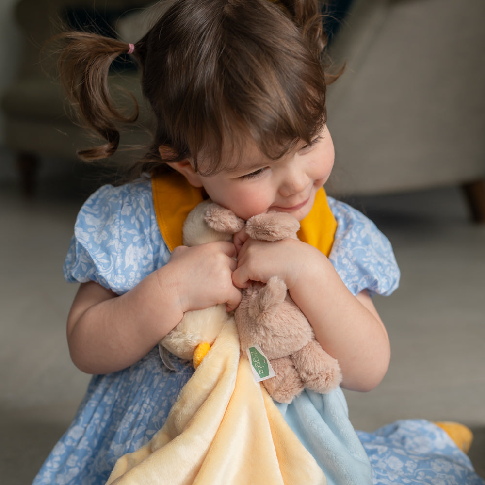 Duck Plush Comforter Blanket