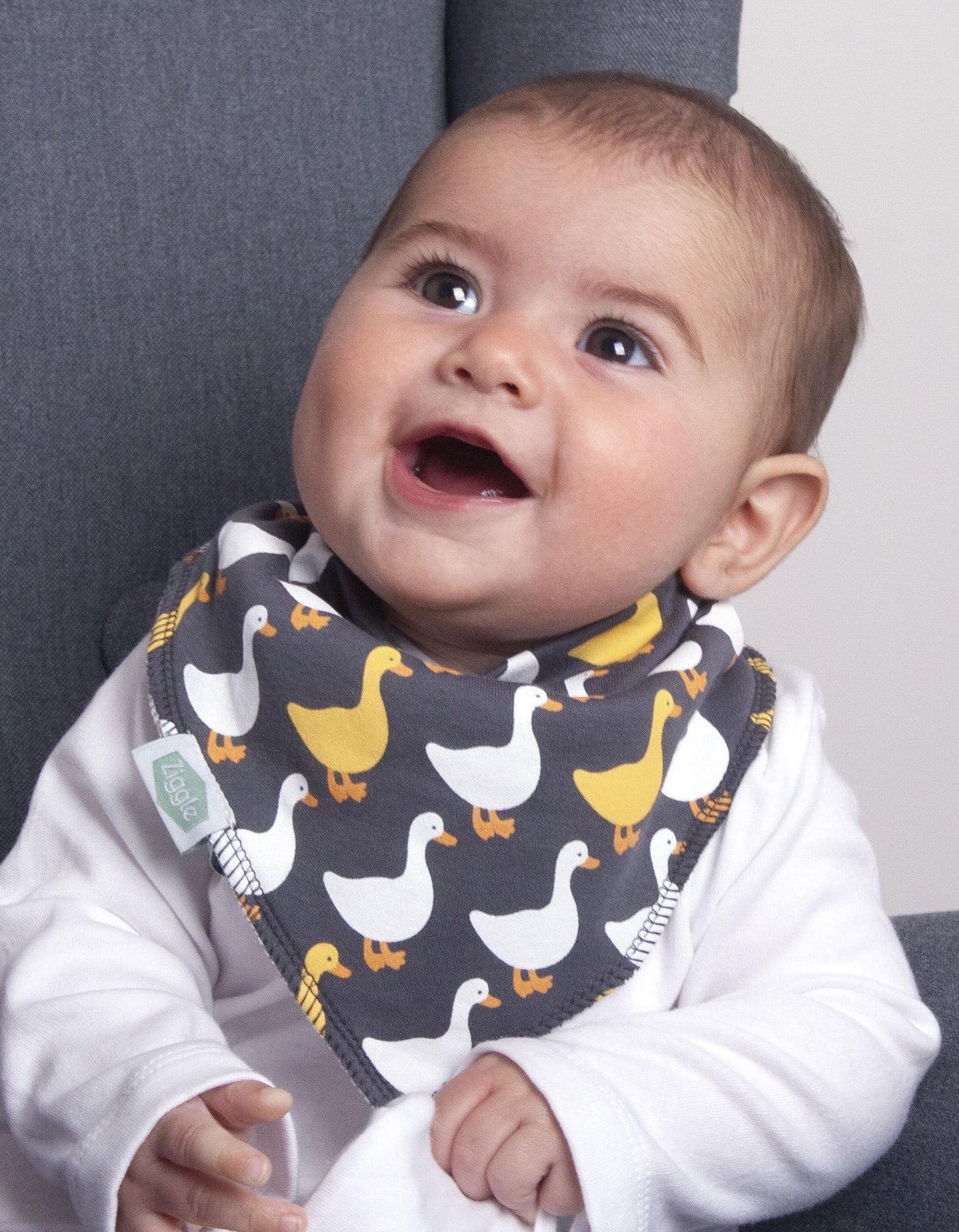 Farmyard Fun Bib Set