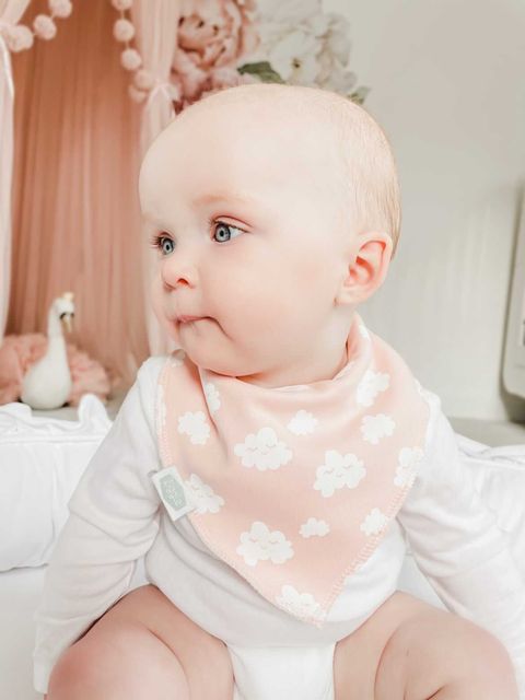 Cuddly Pinks bib set