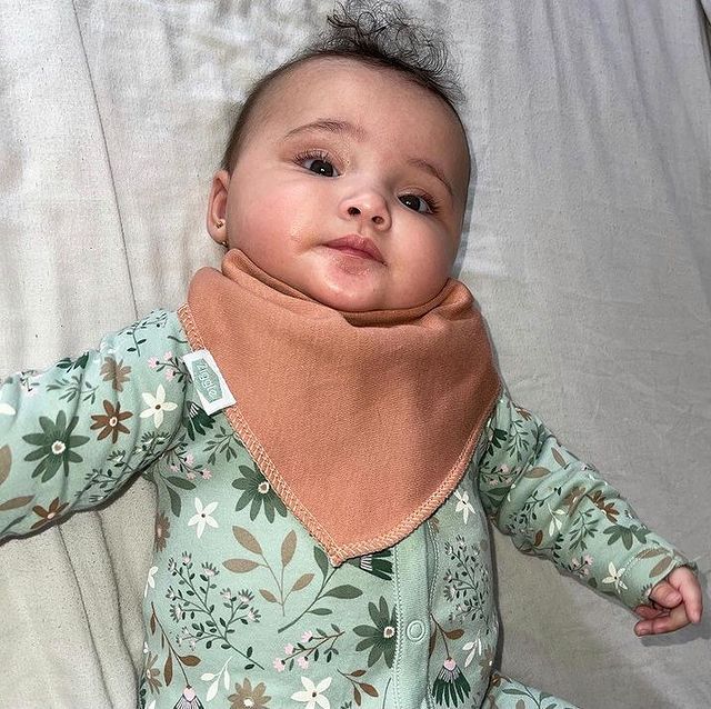 Berries and Cream Bib Set