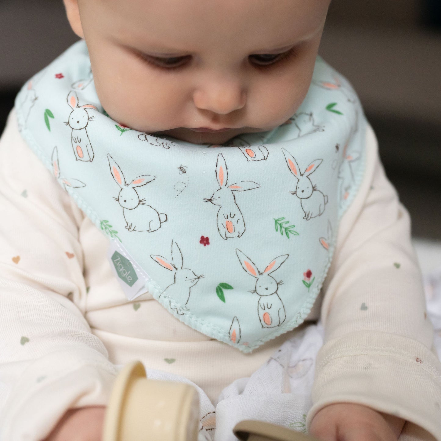 Bunnies on Mint bib