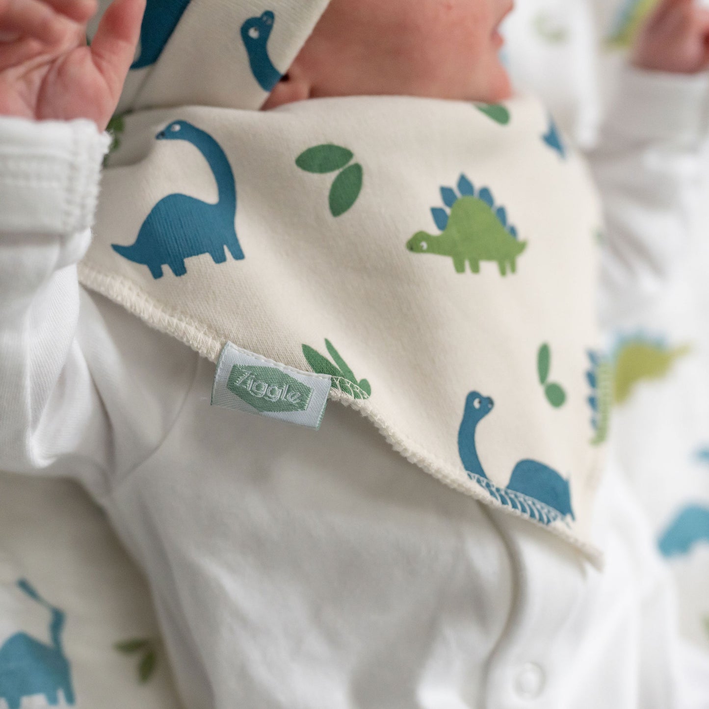 Dino print bib