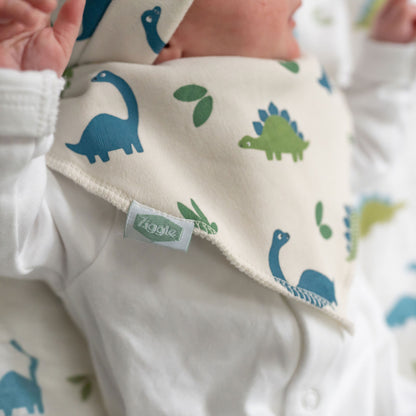 Dino print bib