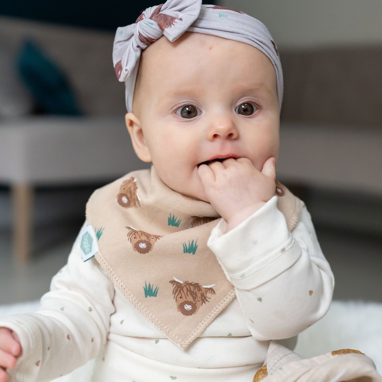 Highland Cow print bib