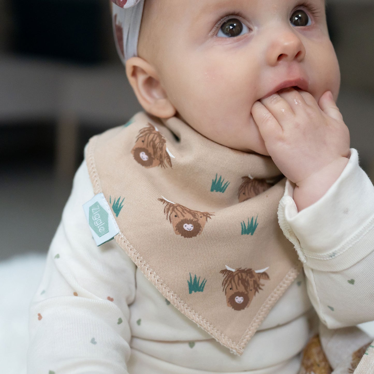 Highland Cow print bib