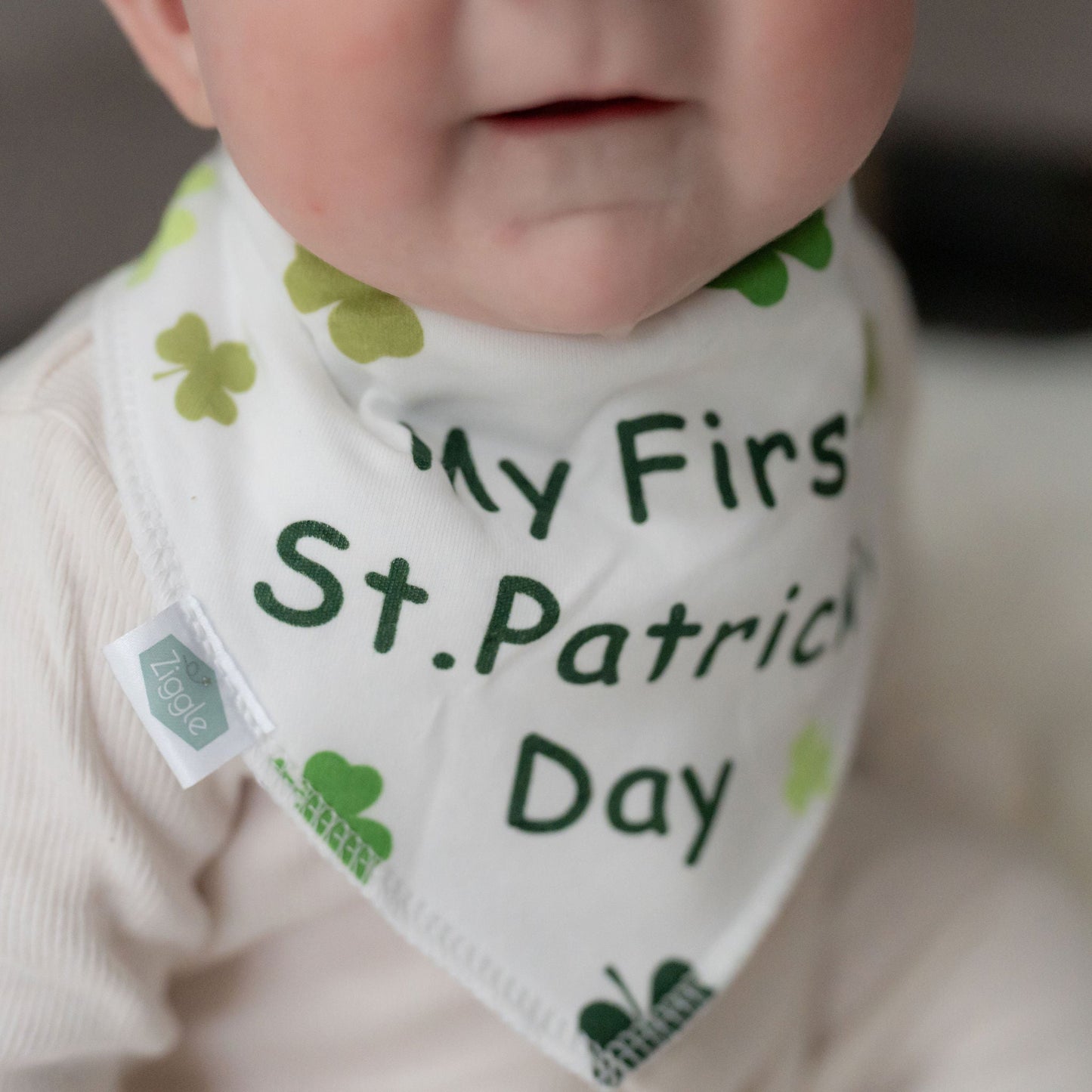 My First St. Patricks Day bib Ziggle