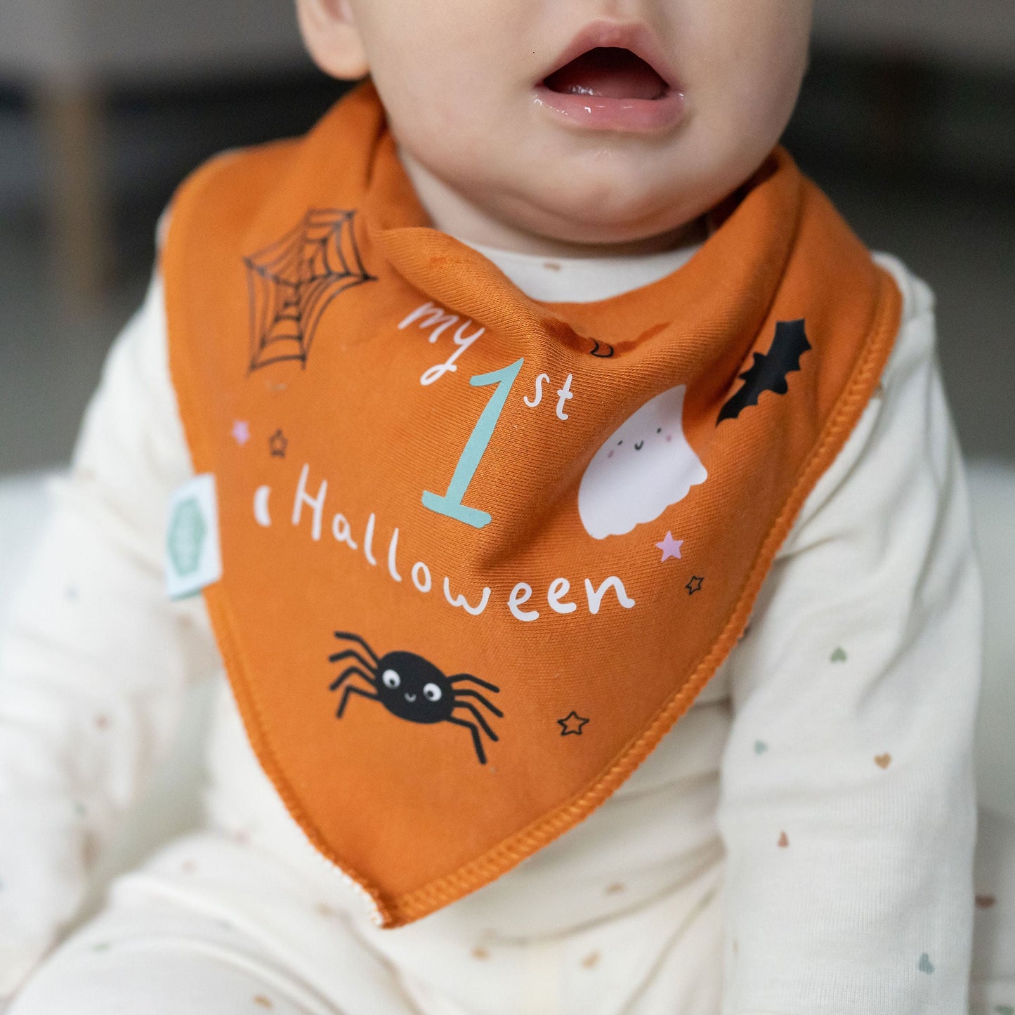 My 1st Halloween Bib ziggle