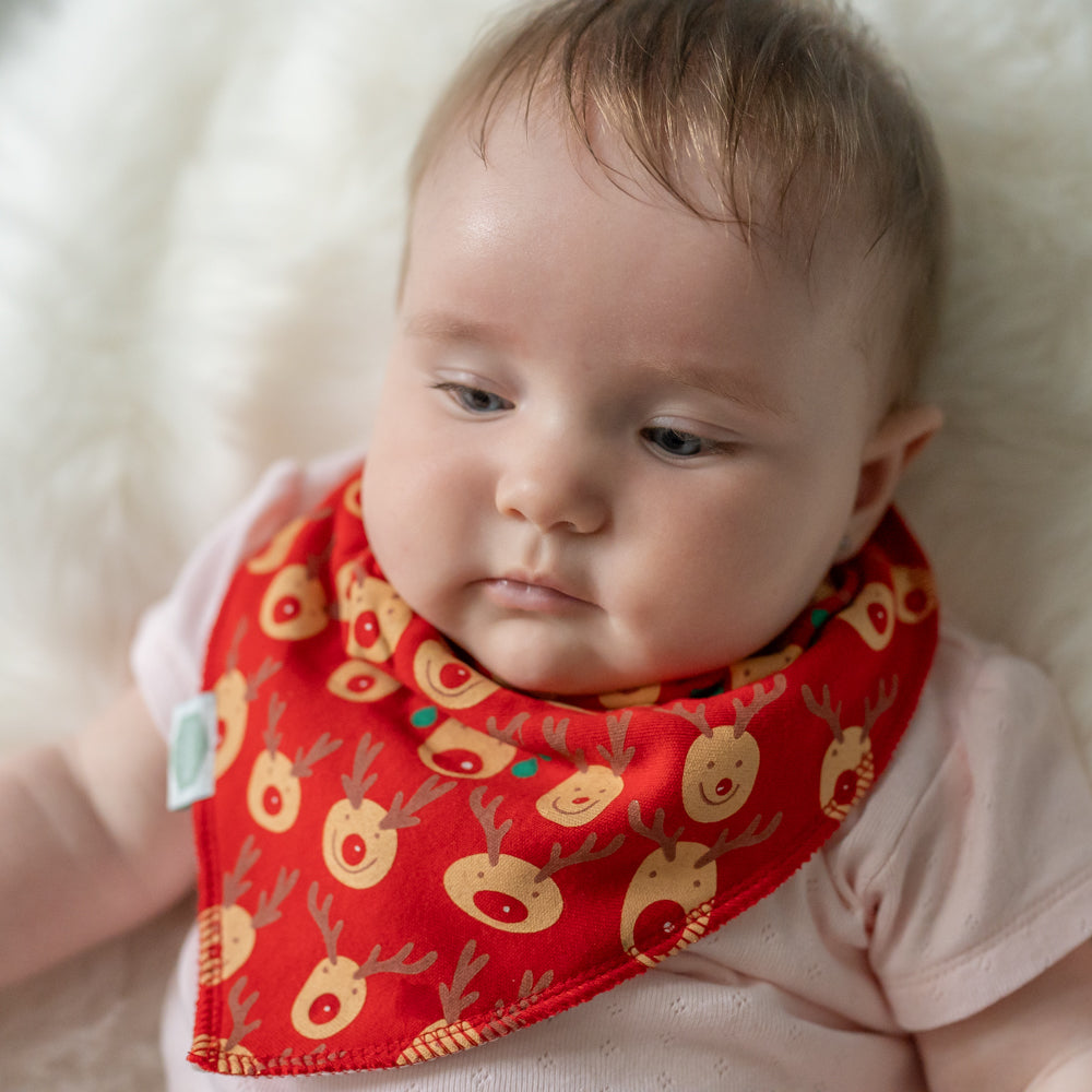 Christmas Reds Bib Set