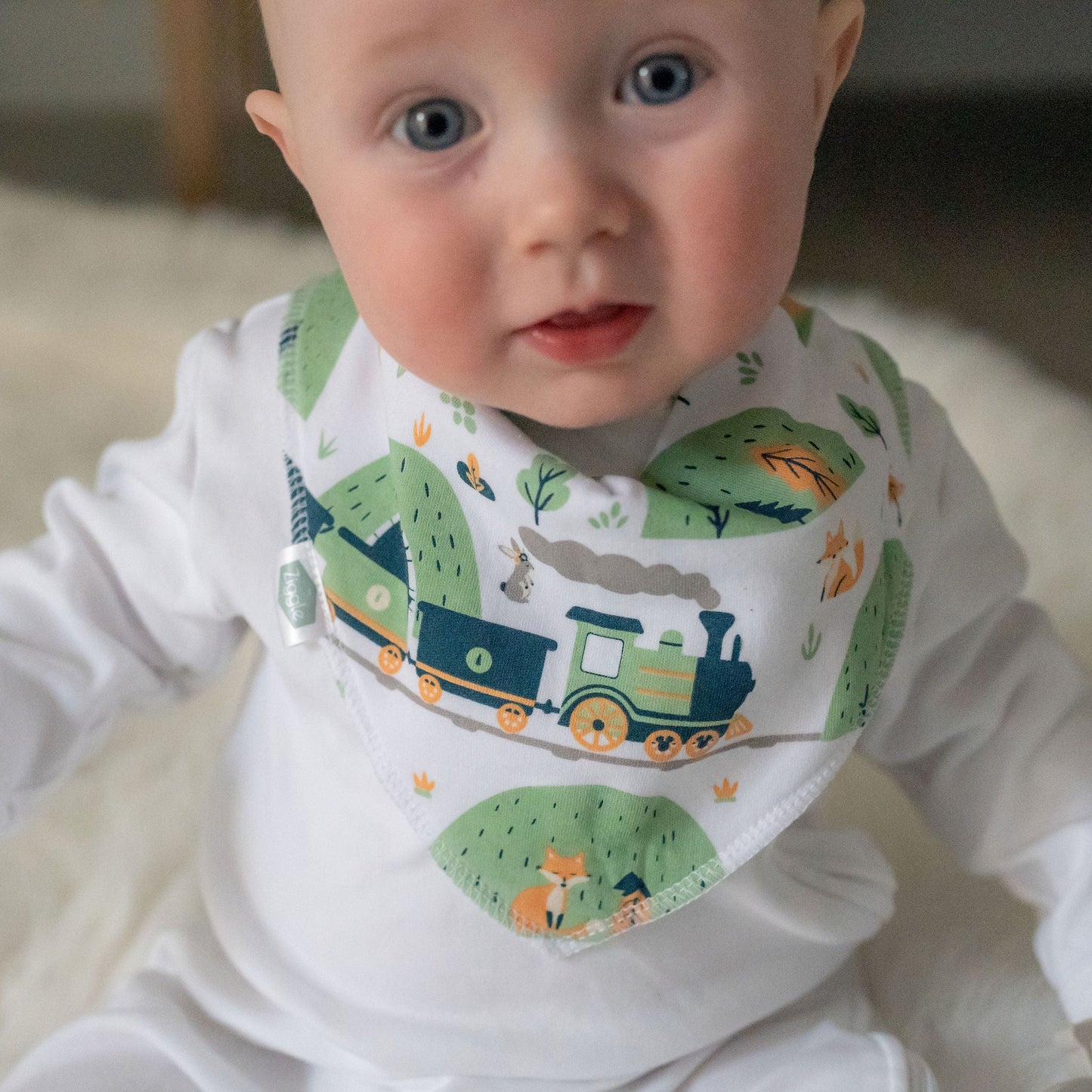 Vroom Bib Set Ziggle