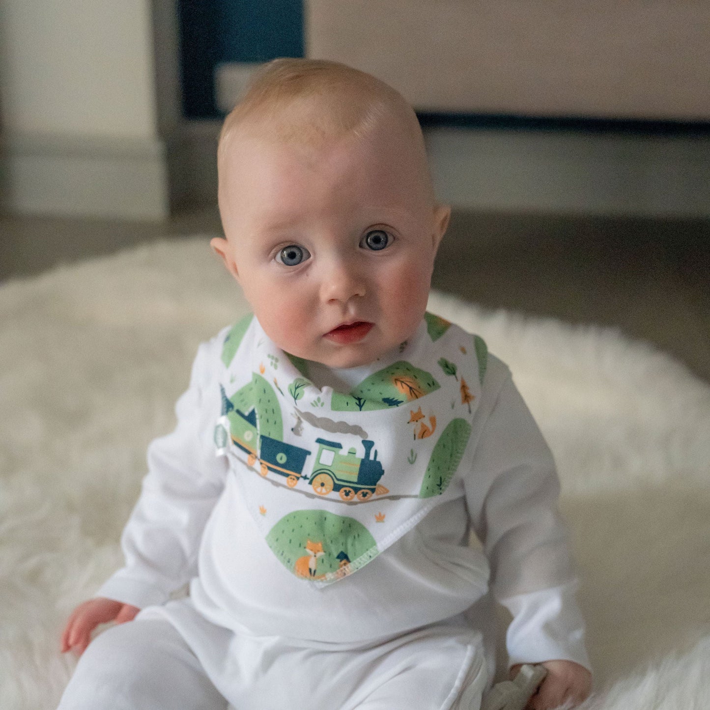 Vroom Bib Set Ziggle