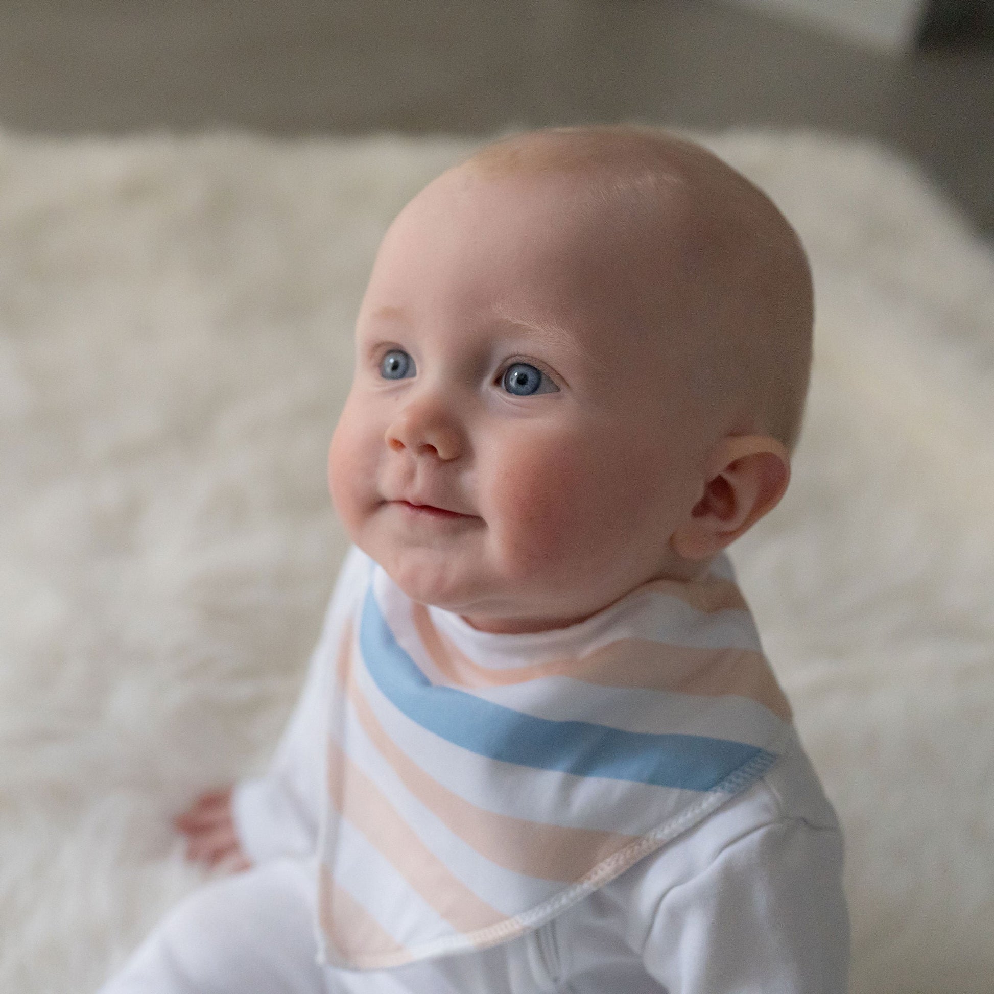 Cub bib set Ziggle