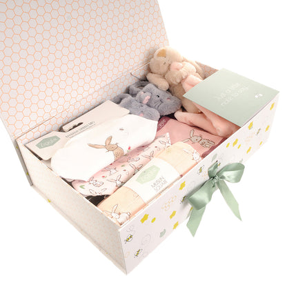 The "First Steps & Epic Falls" Dinosaur Grand Explorer Hamper Ziggle