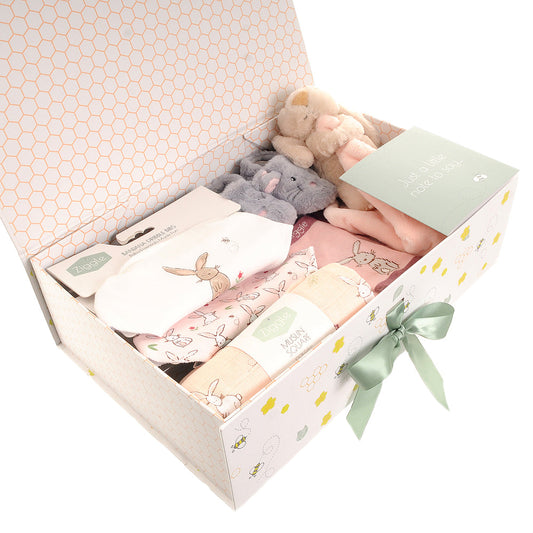 The "First Steps & Epic Falls" Dinosaur Grand Explorer Hamper Ziggle