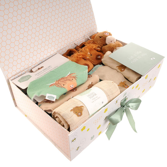 The "First Steps & Epic Falls" Highland Cow Grand Explorer Hamper Ziggle