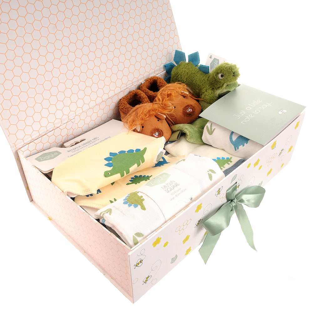 The "First Steps & Epic Falls" Dinosaur Grand Explorer Hamper