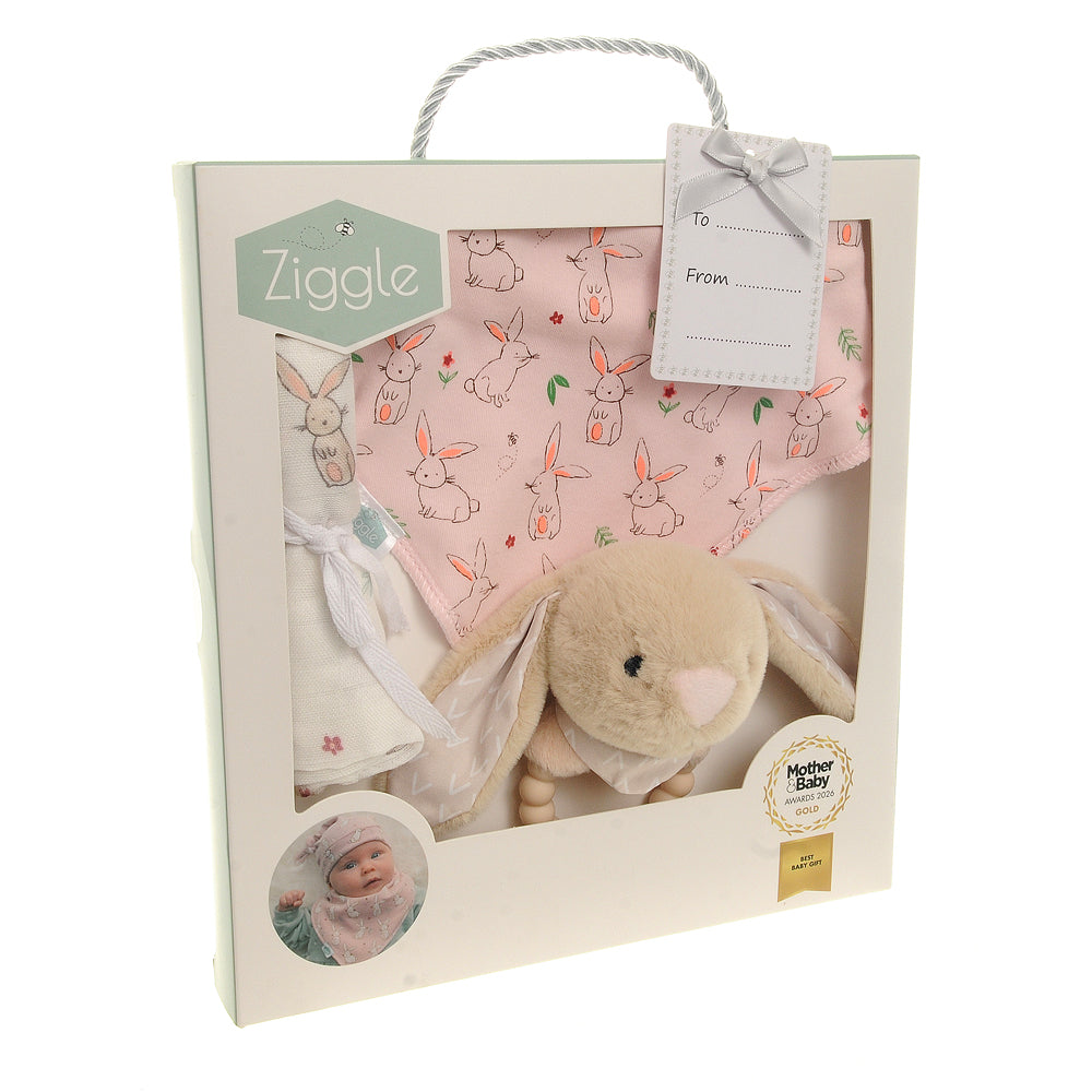 Gift set: Bib Rattle Washcloth Bunnies Ziggle